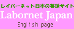 �쥤�С��ͥåȱѸ�֥���